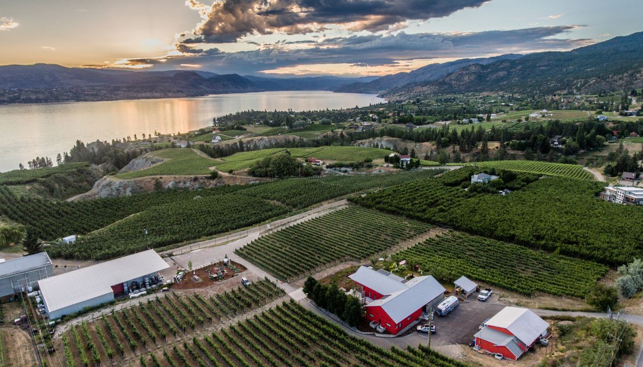 aerial view of JoieFarm surrounded by vineyards, rolling hills and a beautiful sunset