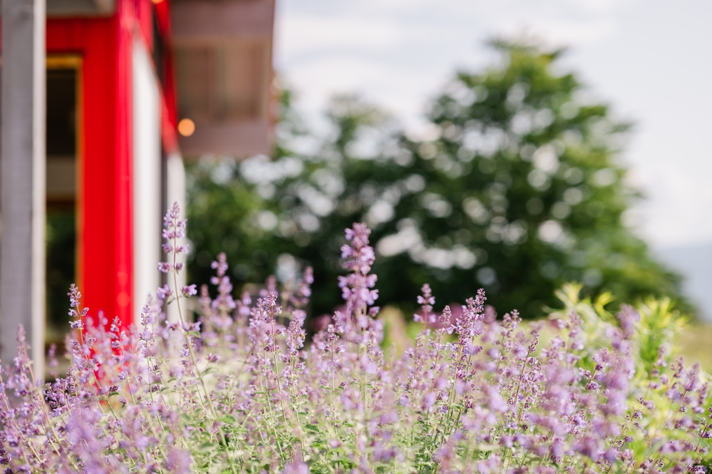 JoieFarm Meadow Garden